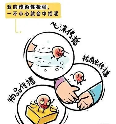 672c668b27080.jpg 672c668b27080.jpg