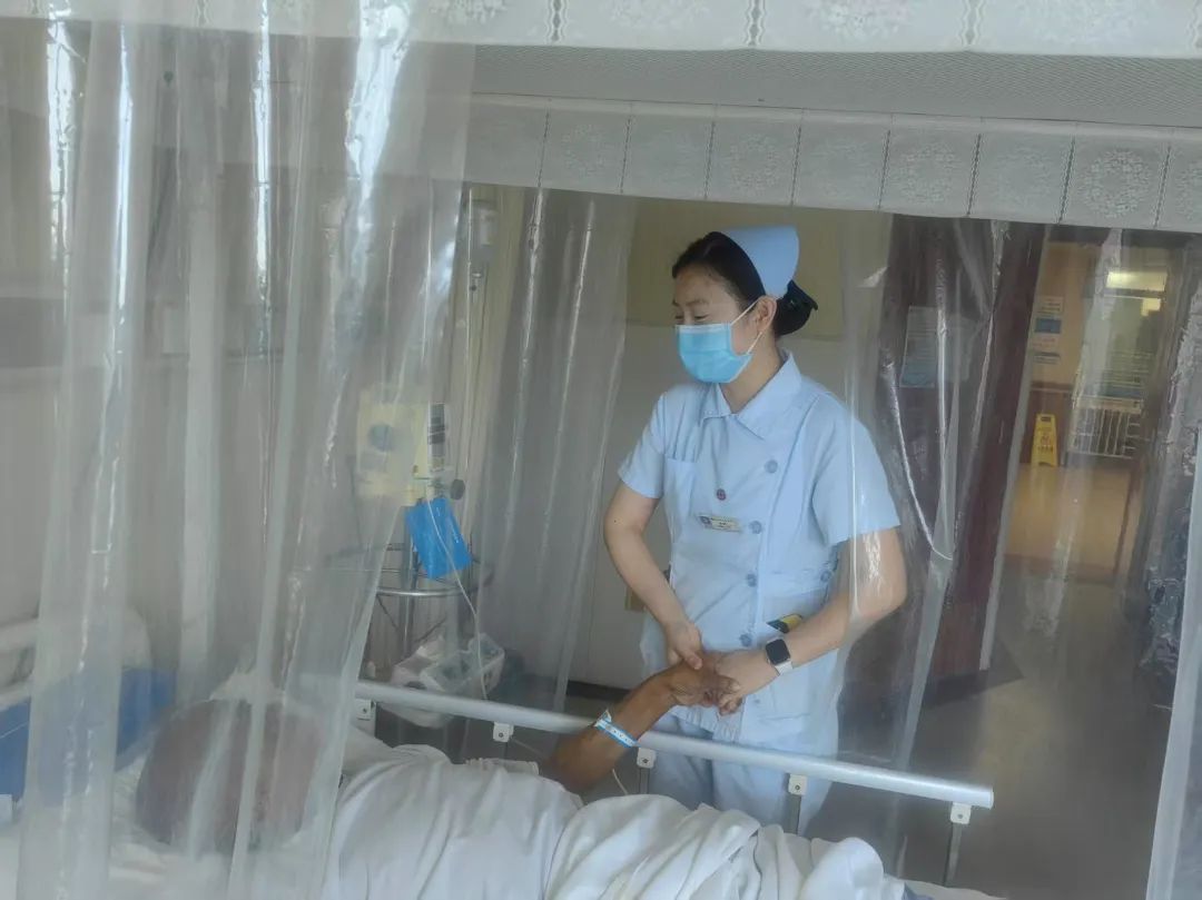 682c37a43406e.jpg 682c37a43406e.jpg