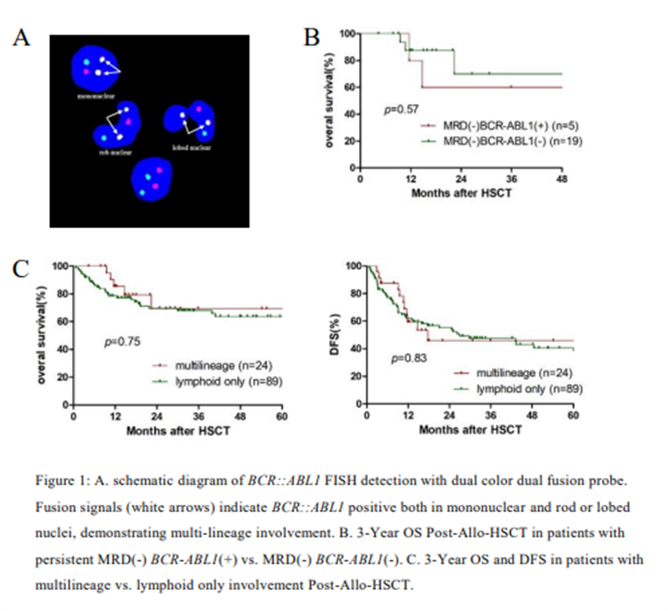 68525c770cd23.png 68525c770cd23.png