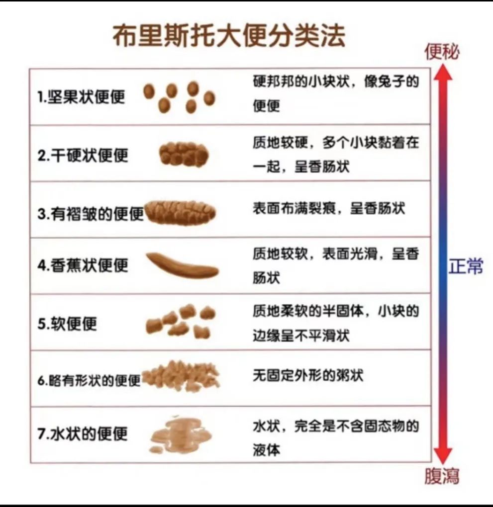 685d1fd2deba3.jpg 685d1fd2deba3.jpg