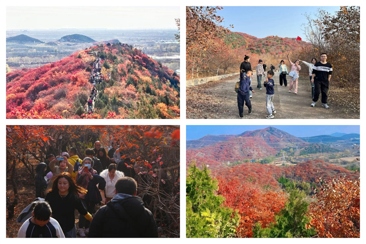 691c037d3478e.jpg 691c037d3478e.jpg