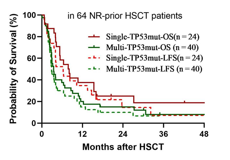 6945069871975.png 6945069871975.png