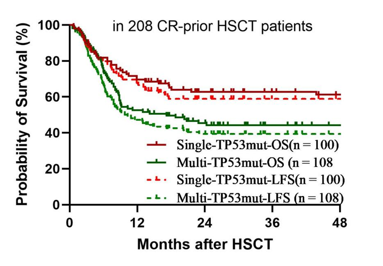 6945069eec0eb.png 6945069eec0eb.png